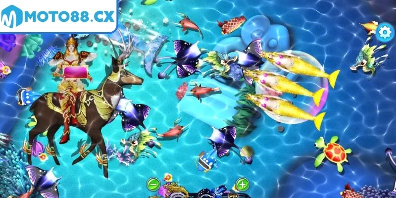 Rèn luyện kỹ năng bắn chuẩn