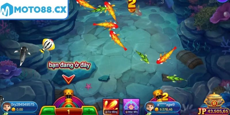 Cơ hội kiếm tiền hấp dẫn